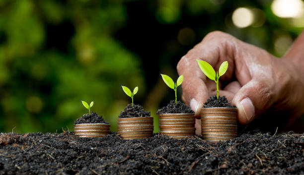 istock Hand putting corner on corner stack growing graph with green bokeh background,investment concept.tree growing on corner,Business Finance and Save Money concept 1278207224