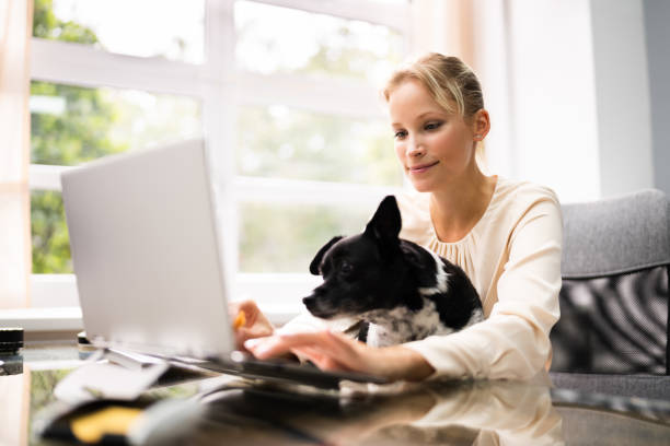 istock Business Women Working On Laptop Computer 1278207303