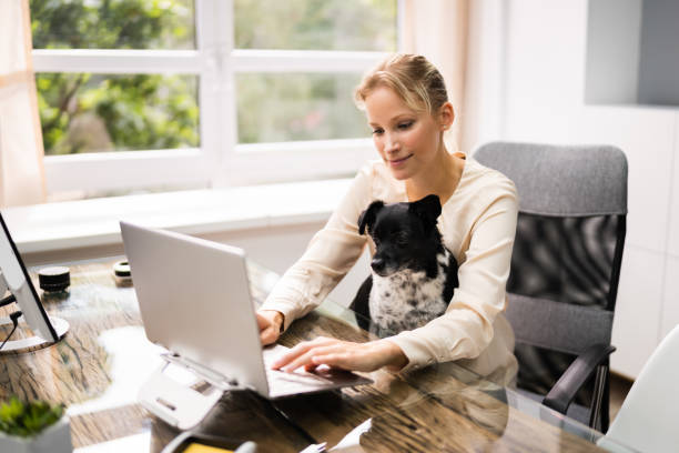 istock Business Women Working On Laptop Computer 1278207305