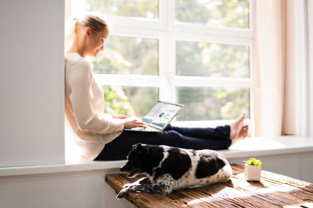 istock Woman Using Business Laptop Computer With Dog 1278207353