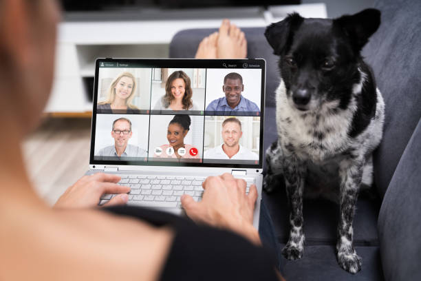 istock Video Conference Business Meeting On Laptop 1278209175