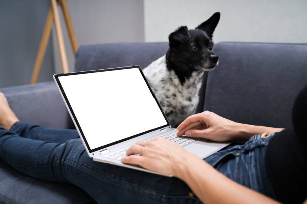istock Woman At Home Room 1278209181