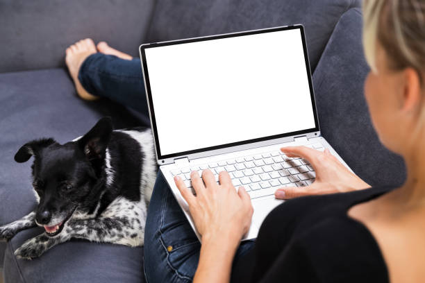 istock Woman At Home Room 1278209226