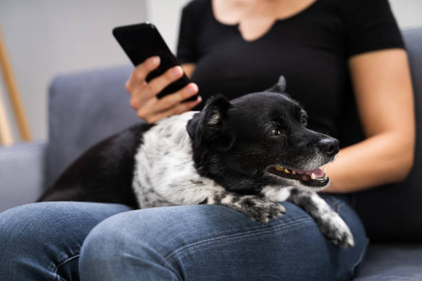 istock Woman Using Tablet At Home 1278209260