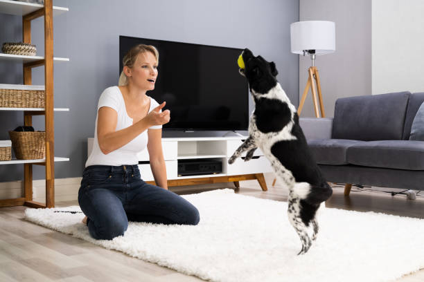 istock Woman Training And Playing With Pet Dog 1278209314