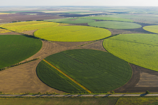 Aerial view of an agriculture field in the shape of circles