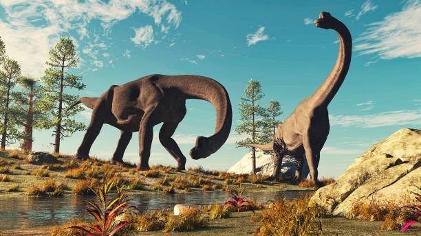 zwei brachiosaurus in der nähe eines baches in der natur. dies ist eine 3d-render-illustration . - pflanzenfressend stock-fotos und bilder