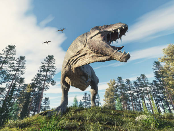 istock Tyrannosaurus rex in the forest . This is a 3d render illustration . 1278212122