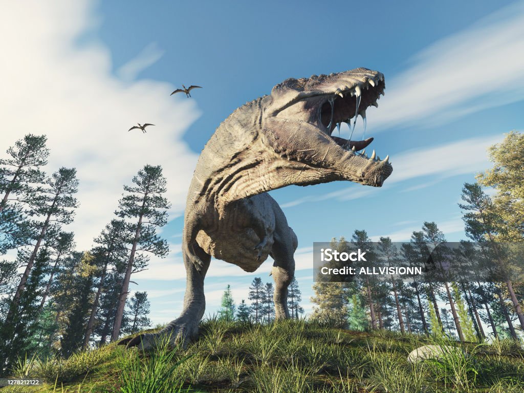 Tyrannosaurus rex in the forest . This is a 3d render illustration . Tyrannosaurus Rex Stock Photo