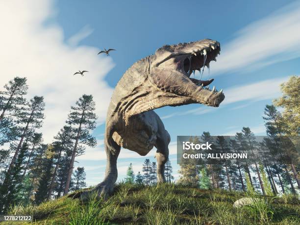Tyrannosaurus Rex In The Forest This Is A 3d Render Illustration Stock Photo - Download Image Now