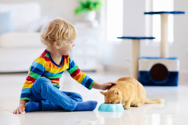 istock Child playing with cat at home. Kids and pets. 1278214214