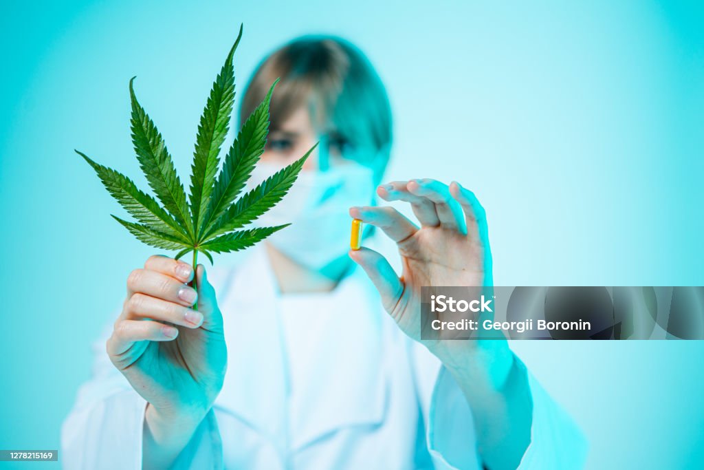 Female doctor with hemp pill and cannabis leaf in hands in studio. Organic dietary supplements Female doctor with hemp pill and cannabis leaf in hands in studio. Organic dietary supplements. High quality photo Cannabidiol Stock Photo