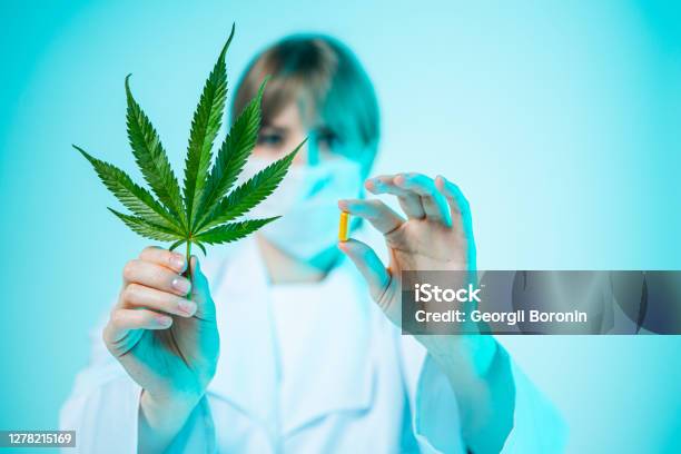 Female Doctor With Hemp Pill And Cannabis Leaf In Hands In Studio Organic Dietary Supplements Stock Photo - Download Image Now