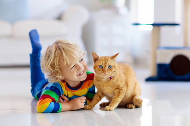 istock Child playing with cat at home. Kids and pets. 1278217266