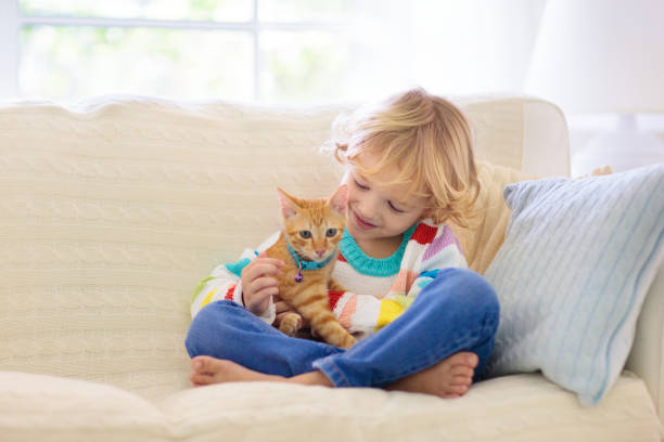 istock Child playing with cat. Kid and kitten. 1278217287