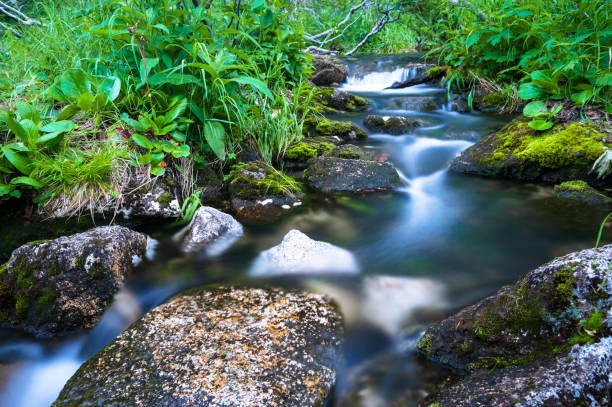 istock Taiga. Siberia. Mountain stream. Photograph with long shutter speed 1278229900