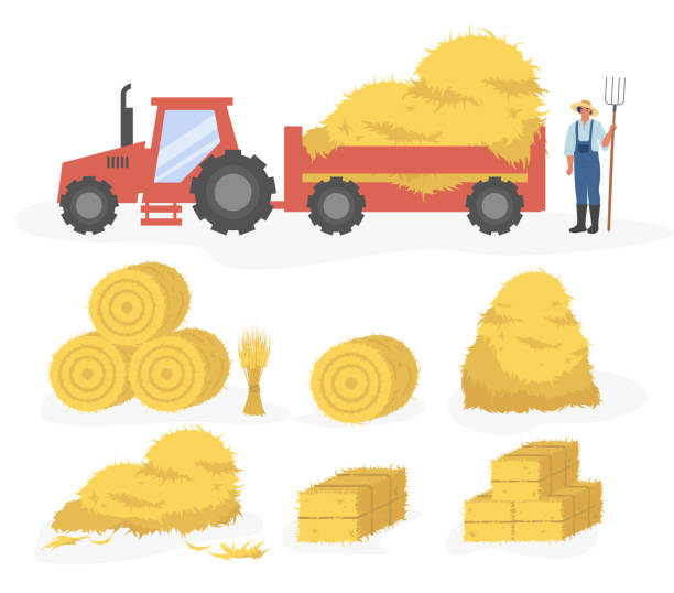 Hay harvesting set, flat vector isolated illustration.Tractor with hay, farmer, straw, haystack and hayloft. Hay harvesting set, flat vector illustration isolated on white background. Tractor with hay. Farmer with pitchfork. Straw, haystack and hayloft. bale stock illustrations