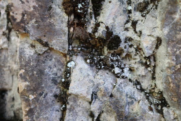 istock Stone texture or background, nature , shot from mountains rocks 1278235738
