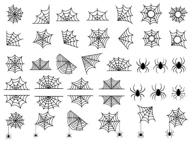 Halloween spider web and spiders Halloween cobweb, frames and borders, Spiders and cobwebs elements tattoo icons stock illustrations