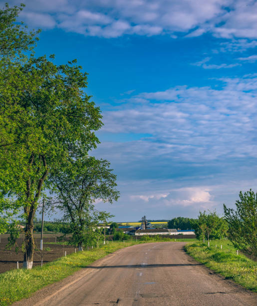 istock Fields landscape in summer sunset and sunrise 1278238035
