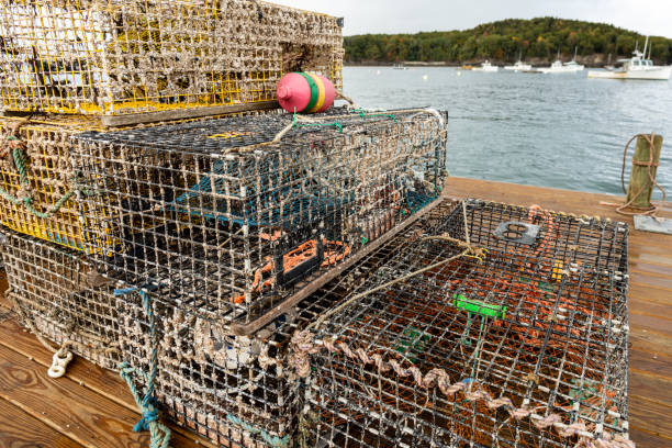 istock Lobster traps on a floating pier in Bar Harbor, Maine 1278239289