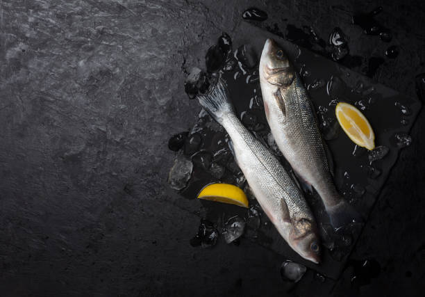 istock Two raw seabass on a black background with copy space 1278240488