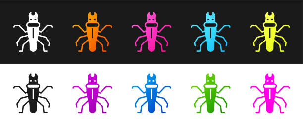 ilustrações de stock, clip art, desenhos animados e ícones de set termite icon isolated on black and white background. vector - ant underground animal nest insect
