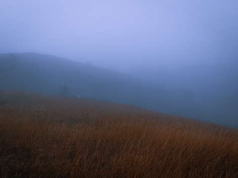 Gloomy hills with yellow grass in thick fog at dawn. Autumn foggy landscape.