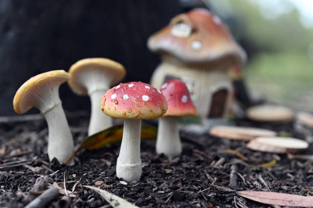 casa de hadas de setas en el bosque - moss toadstool fotografías e imágenes de stock