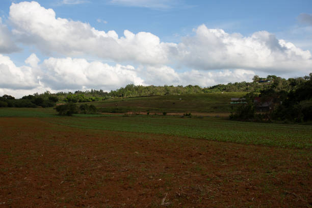 istock Rural landscape in Vinales Valley 1278244433