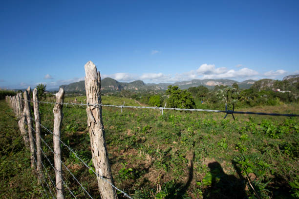 istock Rural landscape in Vinales Valley 1278245931
