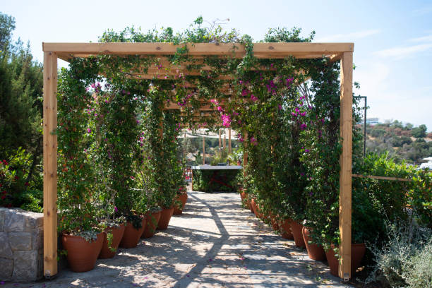 istock Wooden open pavilion with flowers 1278246168