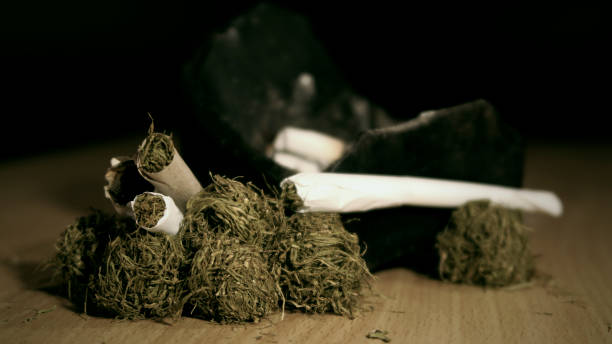 Smoking of dried marijuana and a rolled joint stock photo