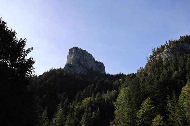 istock Carpathian Montain rock in Romania , Bicaz Chei, Pine forest 1278251282