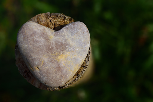 A pebble in the shape of a heart lies, photographed from above, on a wooden pole, against a green background in nature