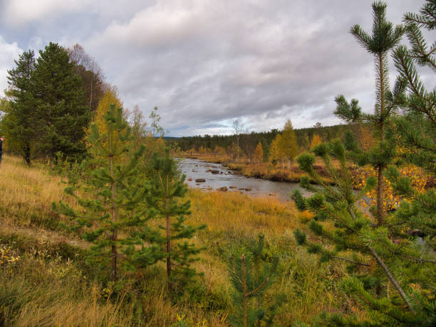 istock Autumn view on a small river in Lapland, Finland 1278257631