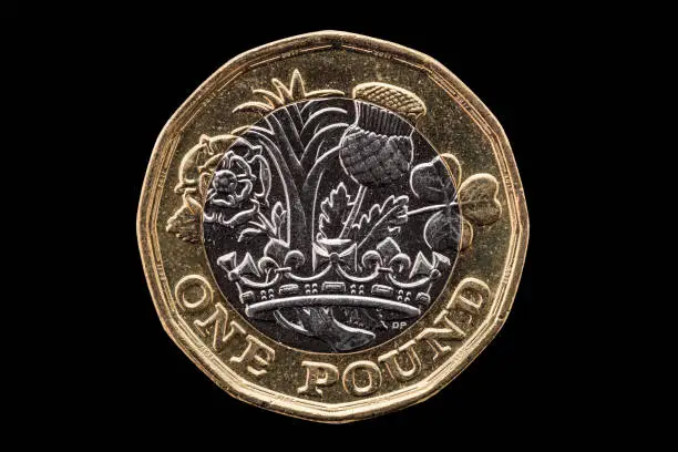 Photo of New one pound British coin