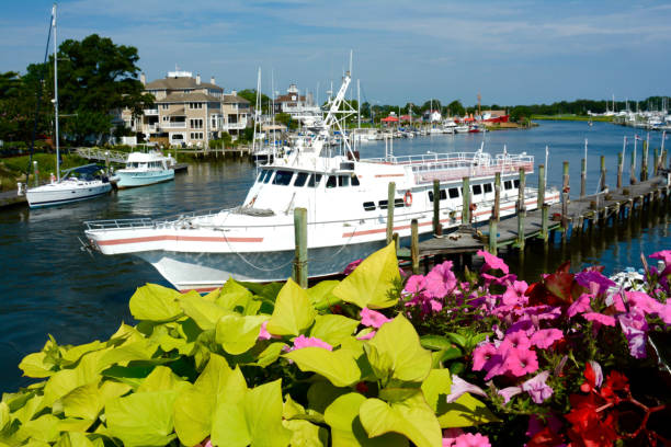 istock Head boat in Harbor on sunny day 1278260755