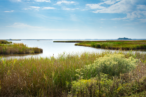 Fall marsh with calm waters and blue sky with clouds