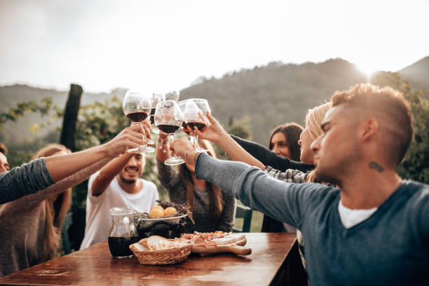 istock friends toasting with red wine at the picnic 1278267429