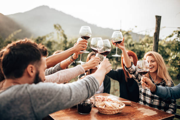 friends toasting with red wine at the picnic - wine dinner party drinking toast imagens e fotografias de stock