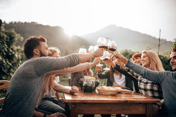 istock friends toasting with red wine at the picnic 1278267755