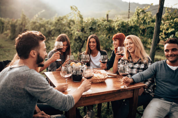 istock friends toasting with red wine at the picnic 1278268647