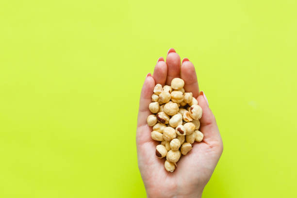 istock image of hands holding hazelnuts over light green background 1278268845