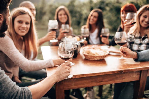 istock friends toasting with red wine at the picnic 1278269199