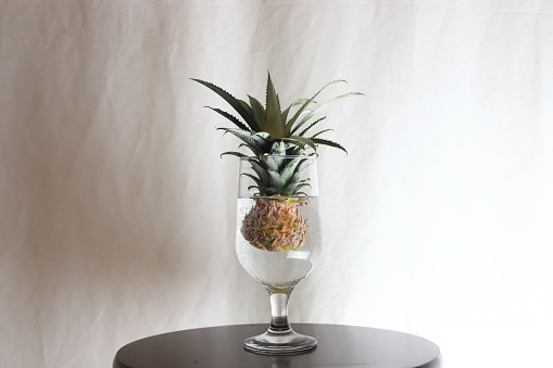Cut pineapple in a wine glass