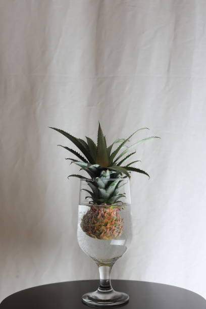 istock Cut pineapple in a wine glass 1278270009