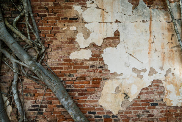 istock Root trees overgrown cracked vintage red brick wall background 1278270234