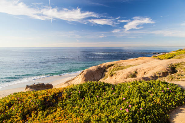 sunny la jolla cove beach, san diego, califórnia - la jolla cove - fotografias e filmes do acervo