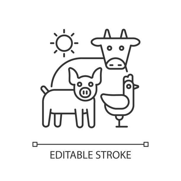 illustrazioni stock, clip art, cartoni animati e icone di tendenza di icona lineare della zootecnia - pig silhouette animal livestock